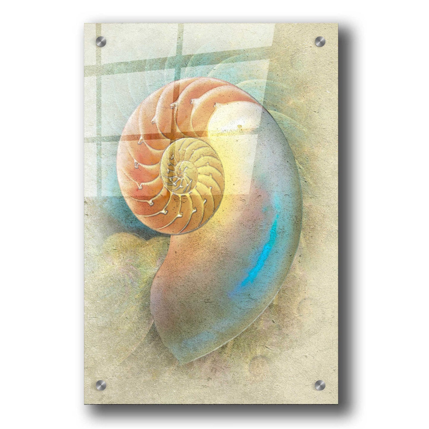 Epic Art 'Aquatica II' by Steve Hunziker, Acrylic Glass Wall Art,24x36