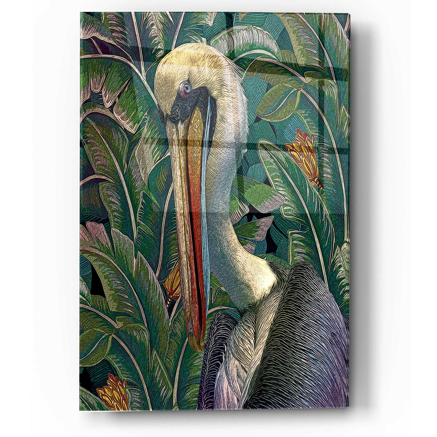 Epic Art 'Primal Pelicana' by Steve Hunziker, Acrylic Glass Wall Art,12x16