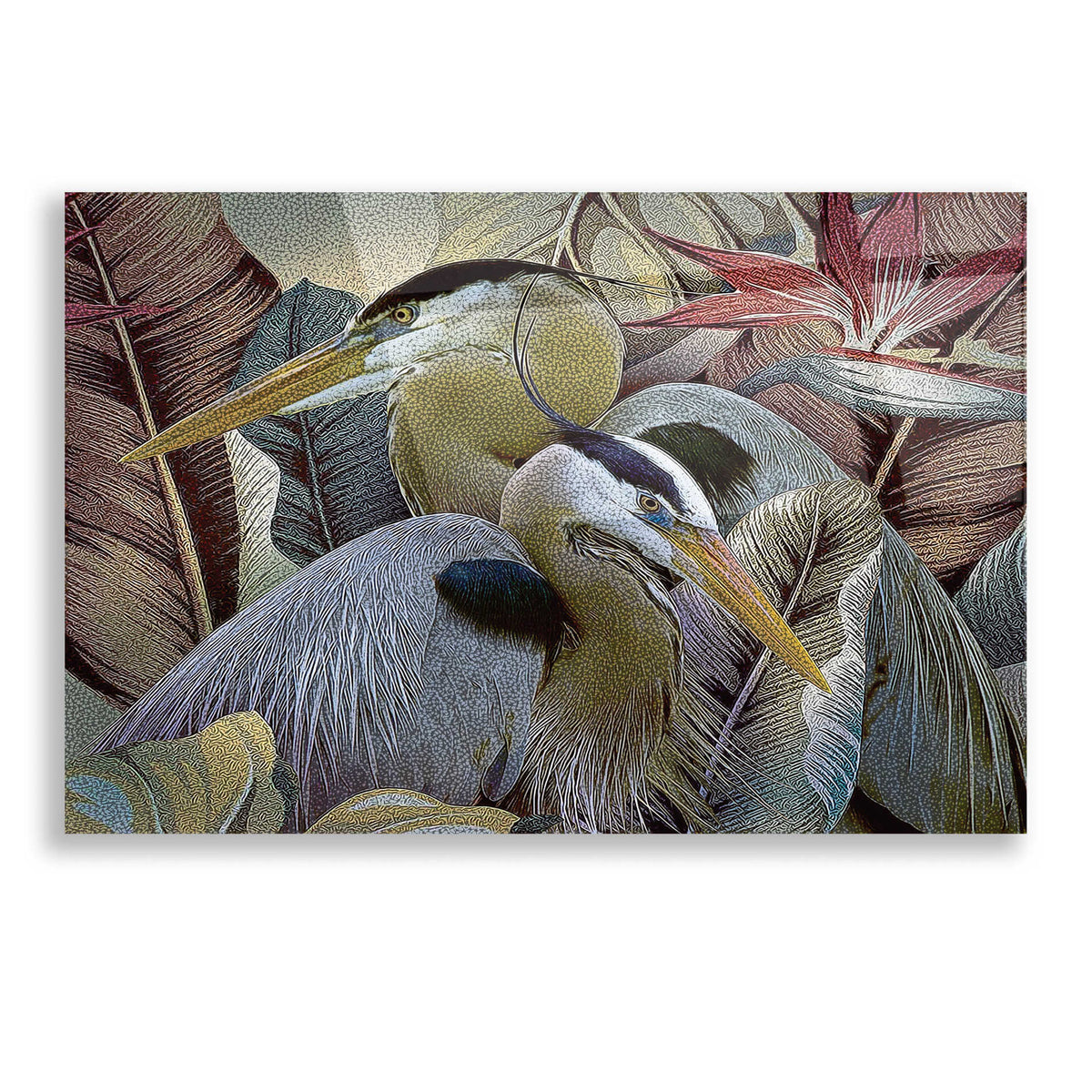 Epic Art 'Two to Tango' by Steve Hunziker, Acrylic Glass Wall Art