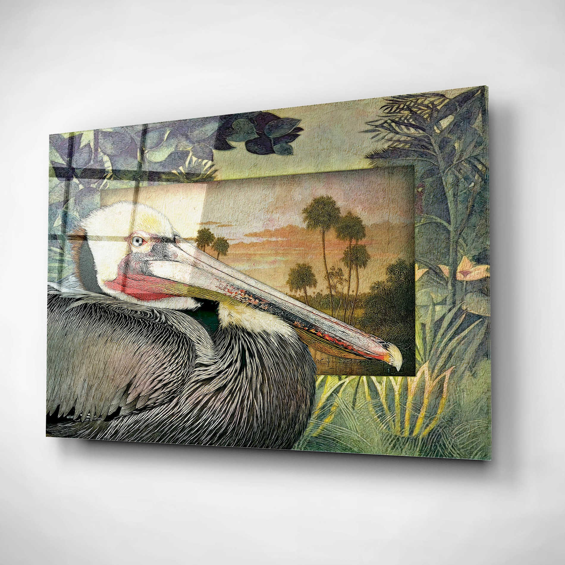 Epic Art 'Pelican Paradise I' by Steve Hunziker, Acrylic Glass Wall Art,16x12