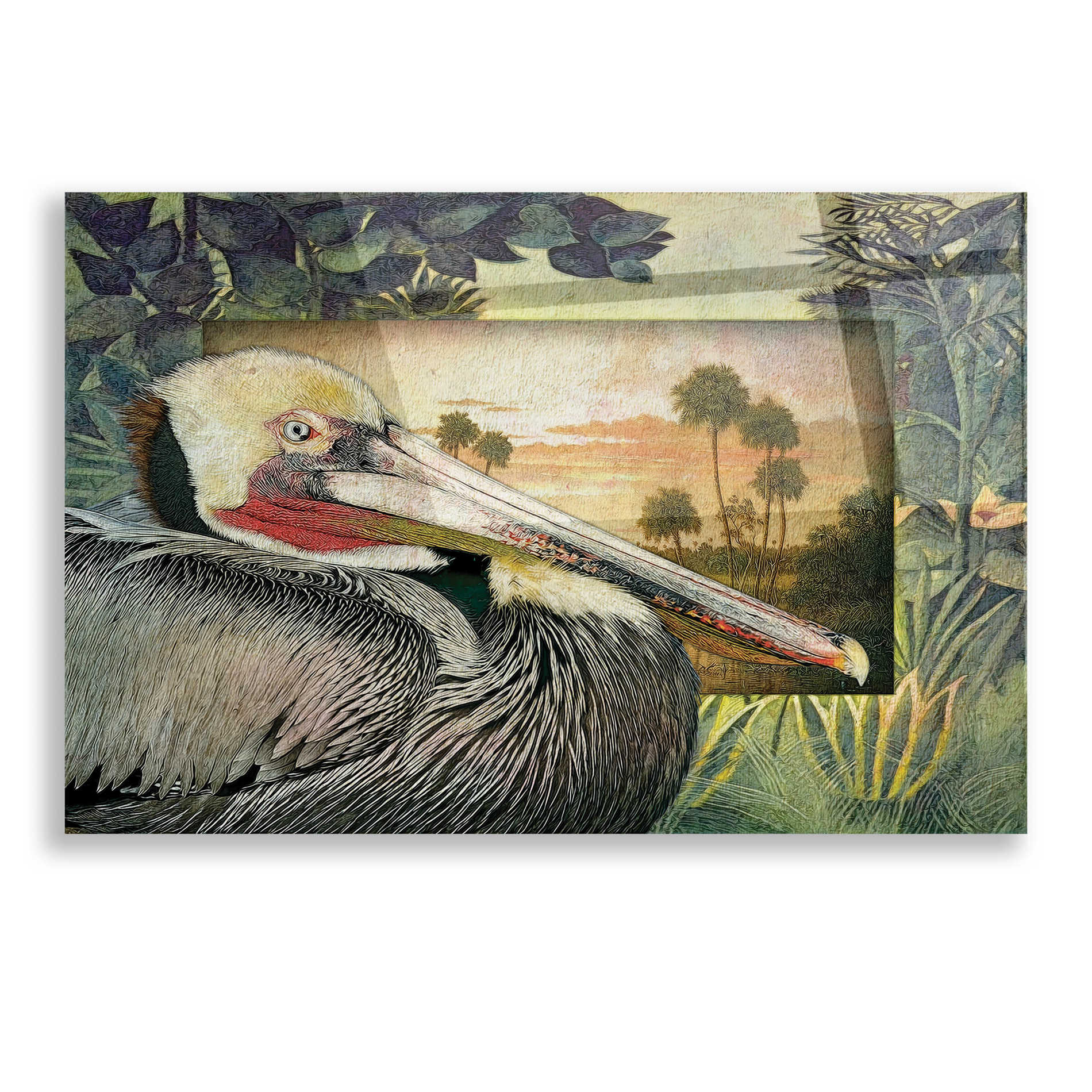 Epic Art 'Pelican Paradise I' by Steve Hunziker, Acrylic Glass Wall Art,16x12