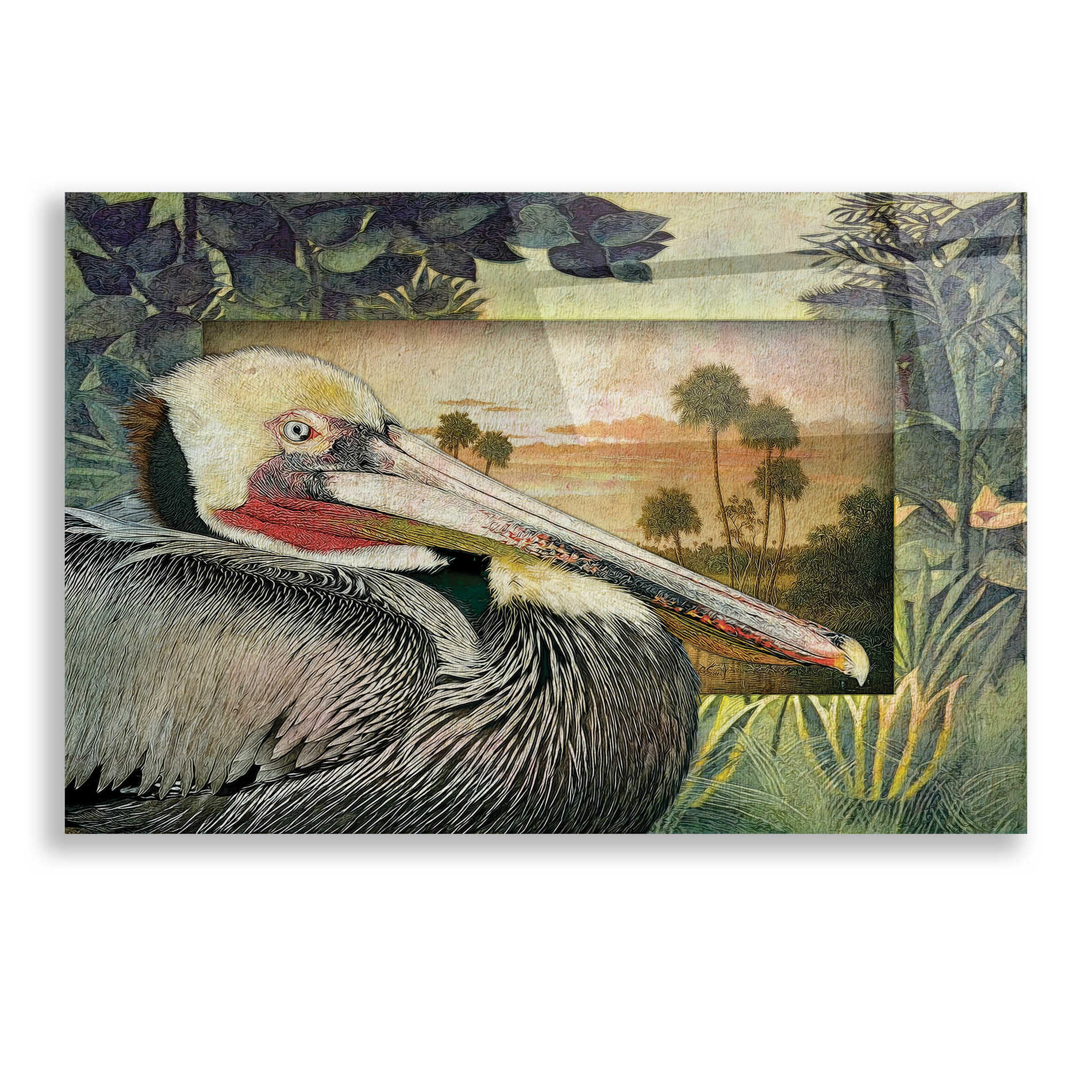 Epic Art 'Pelican Paradise I' by Steve Hunziker, Acrylic Glass Wall Art,24x16