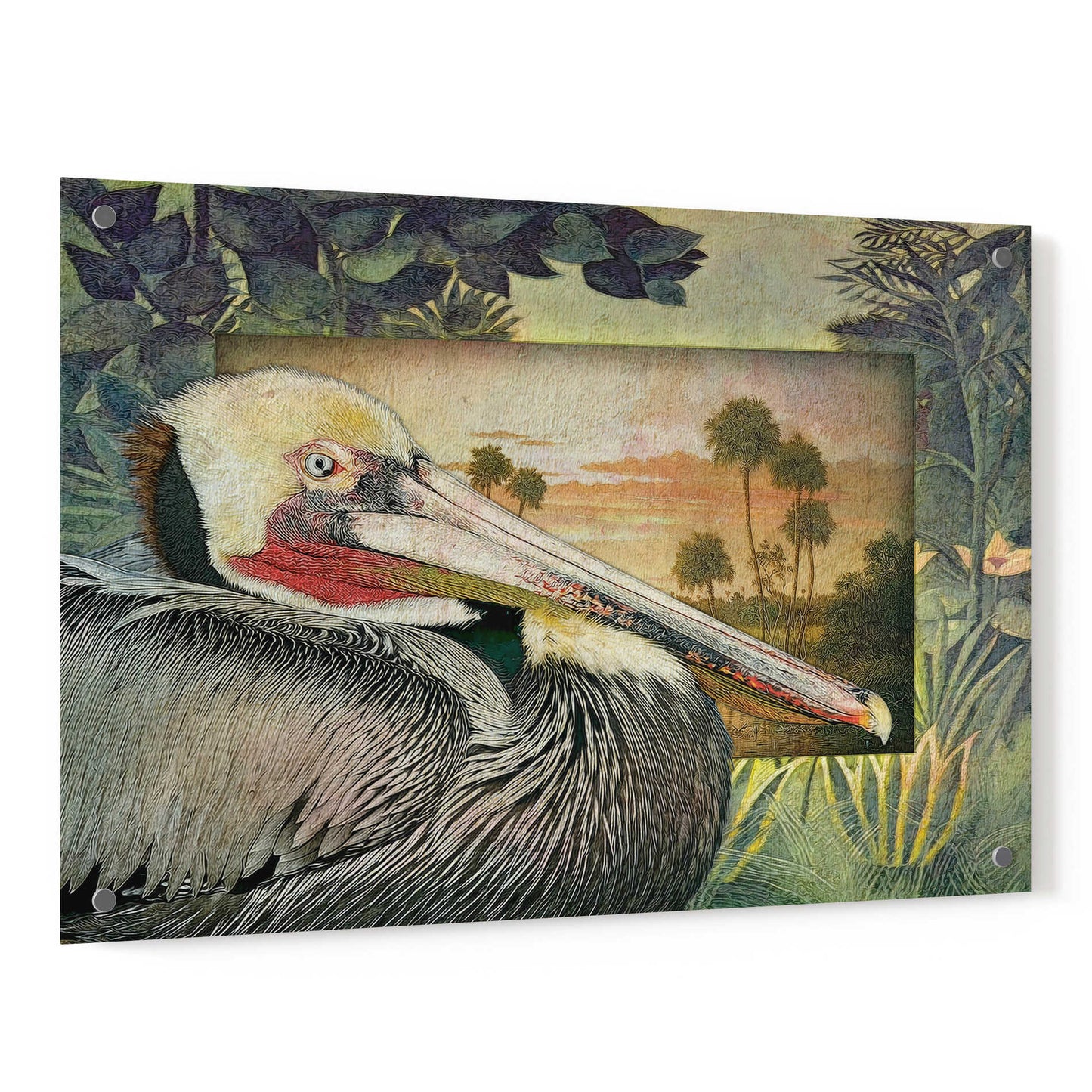 Epic Art 'Pelican Paradise I' by Steve Hunziker, Acrylic Glass Wall Art,36x24