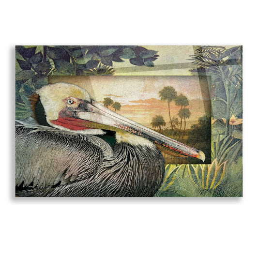 Epic Art 'Pelican Paradise I' by Steve Hunziker, Acrylic Glass Wall Art