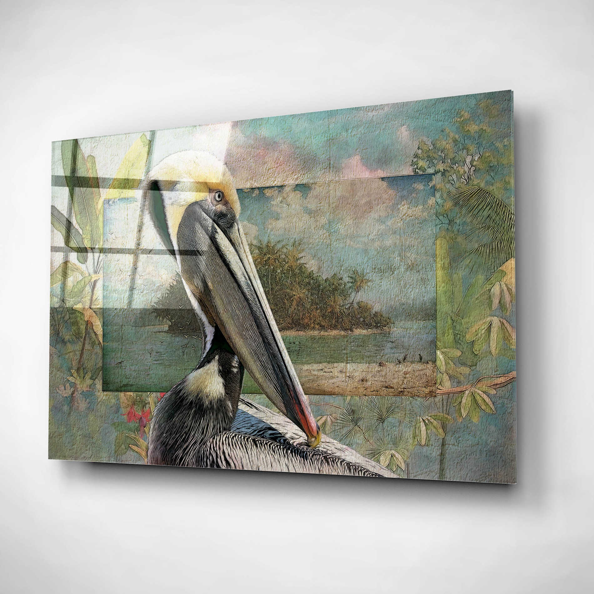 Epic Art 'Pelican Paradise II' by Steve Hunziker, Acrylic Glass Wall Art,16x12