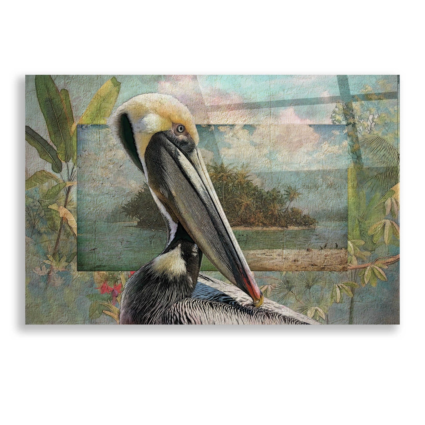 Epic Art 'Pelican Paradise II' by Steve Hunziker, Acrylic Glass Wall Art,24x16