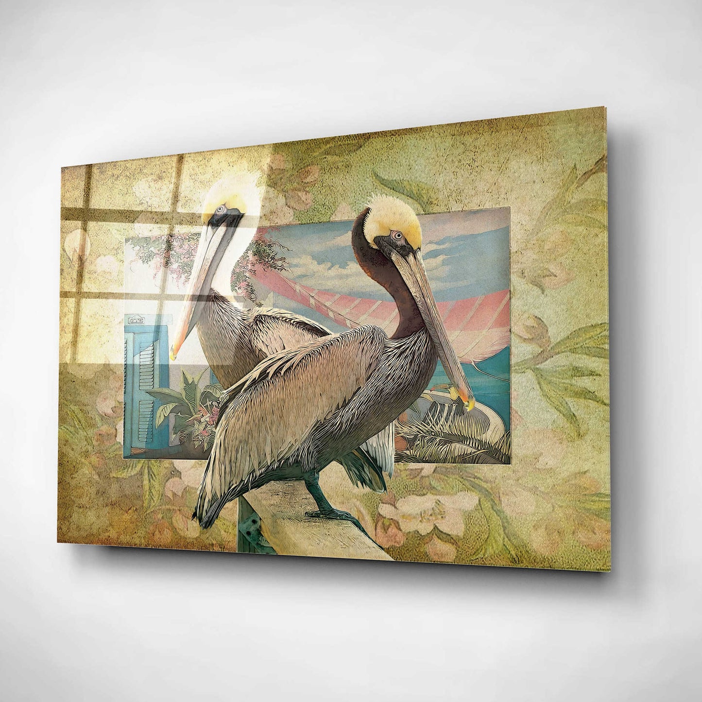 Epic Art 'Pelican Paradise IV' by Steve Hunziker, Acrylic Glass Wall Art,16x12