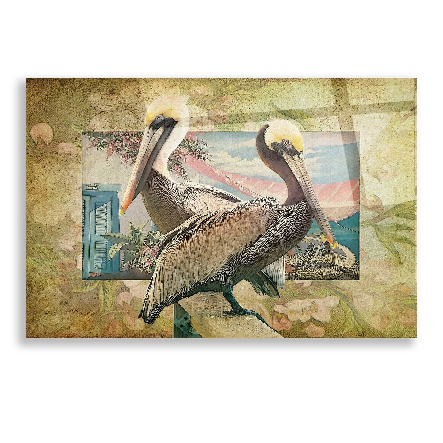 Epic Art 'Pelican Paradise IV' by Steve Hunziker, Acrylic Glass Wall Art,16x12