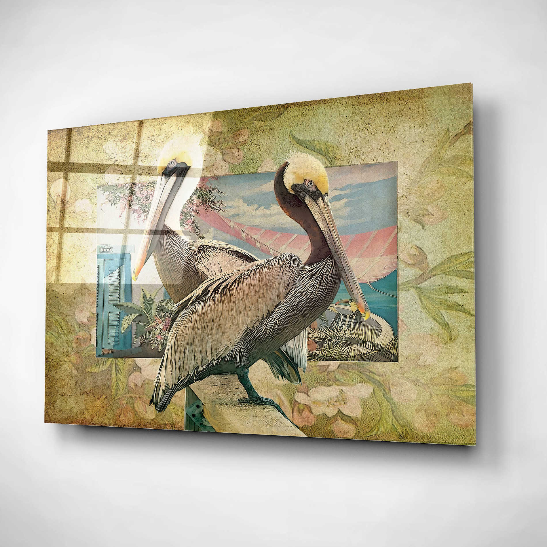 Epic Art 'Pelican Paradise IV' by Steve Hunziker, Acrylic Glass Wall Art,24x16