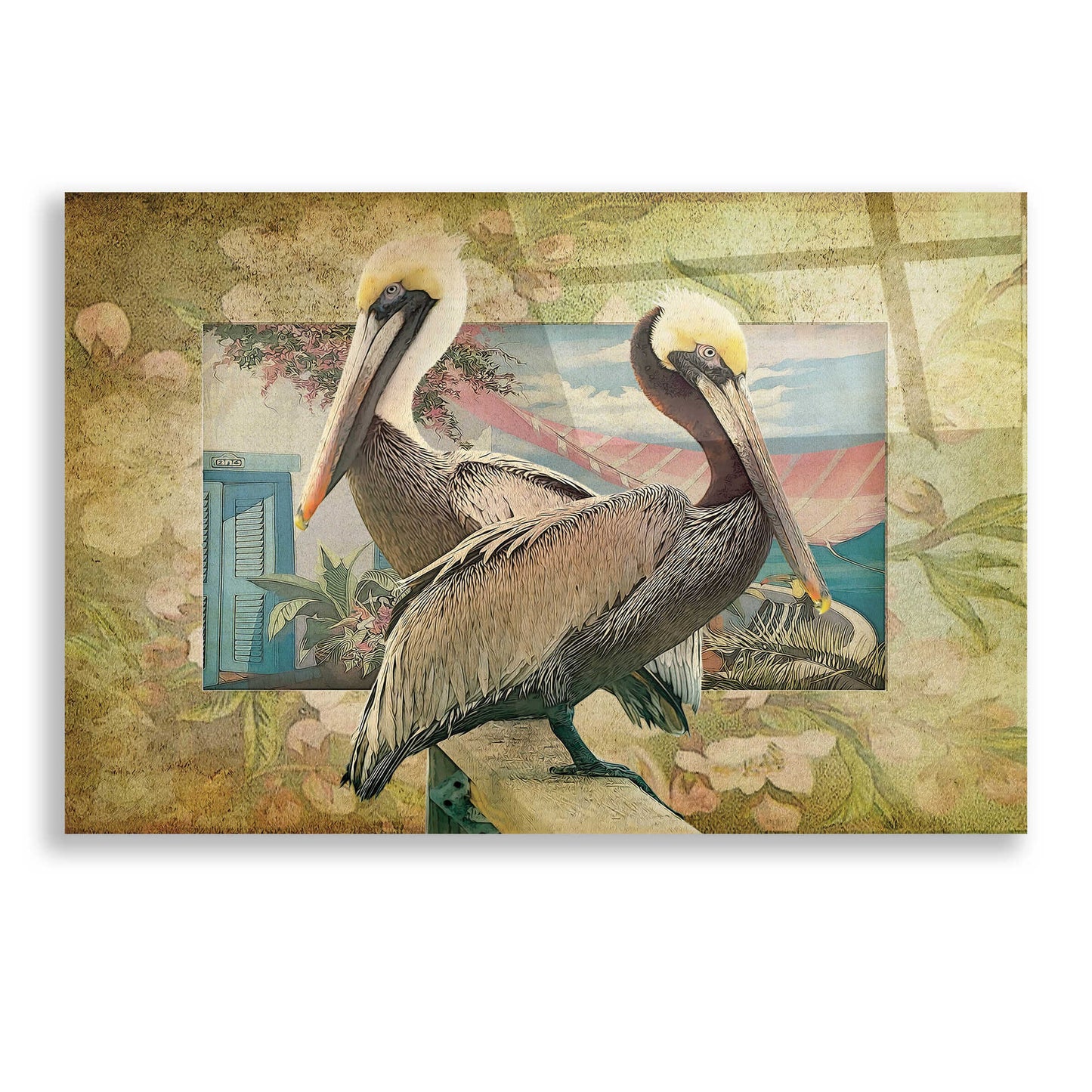 Epic Art 'Pelican Paradise IV' by Steve Hunziker, Acrylic Glass Wall Art,24x16