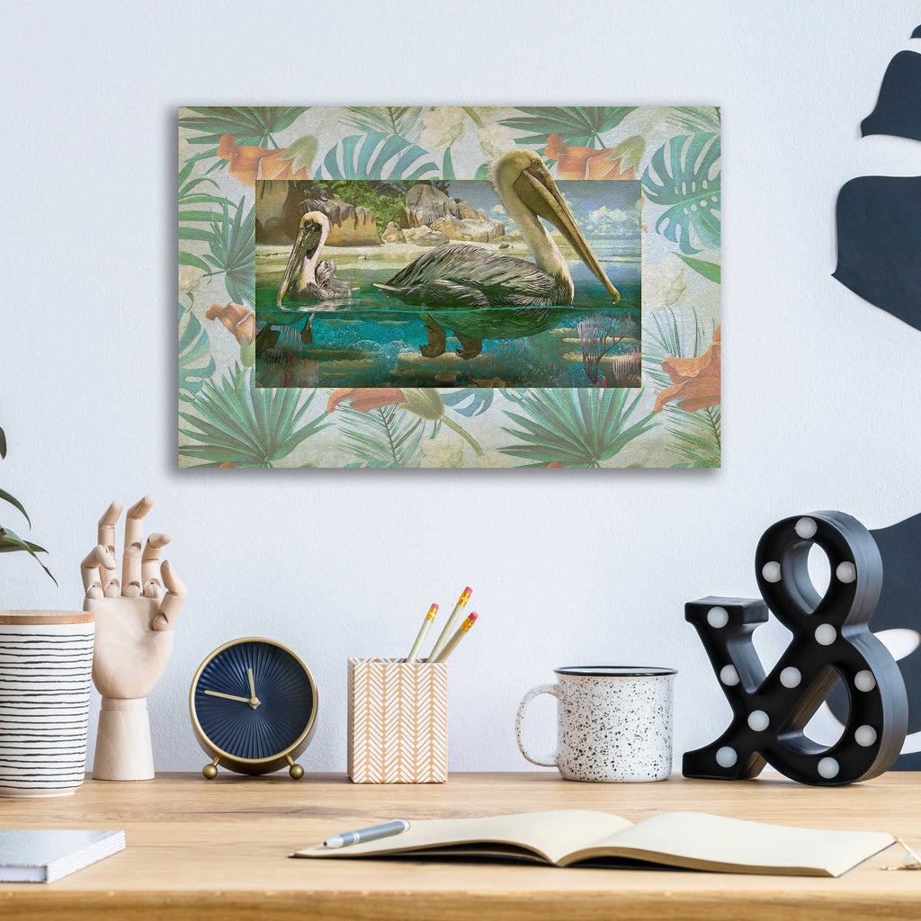 Epic Art 'Pelican Paradise V' by Steve Hunziker, Acrylic Glass Wall Art,16x12