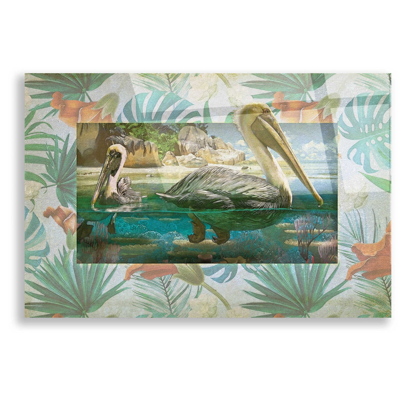 Epic Art 'Pelican Paradise V' by Steve Hunziker, Acrylic Glass Wall Art,16x12