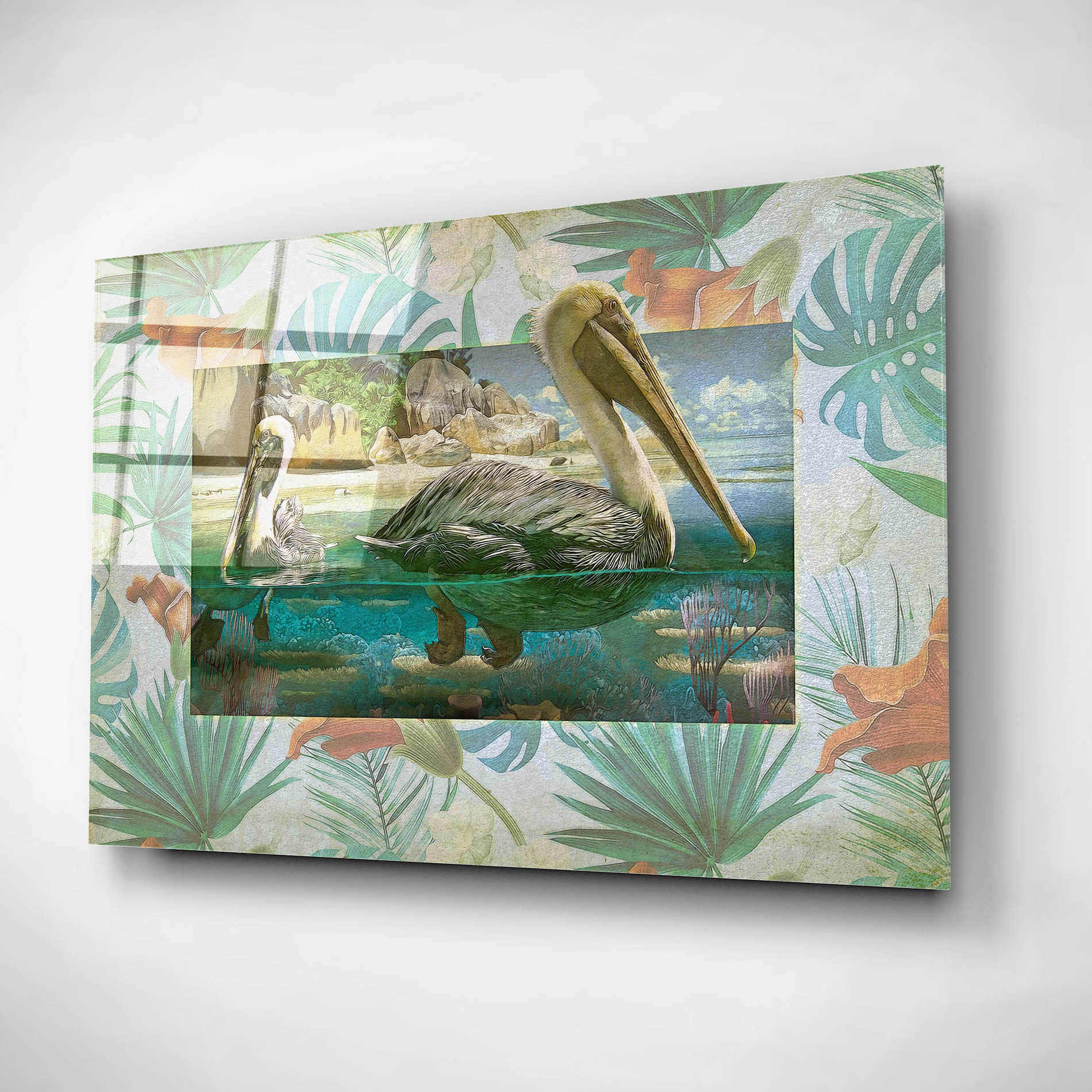 Epic Art 'Pelican Paradise V' by Steve Hunziker, Acrylic Glass Wall Art,24x16