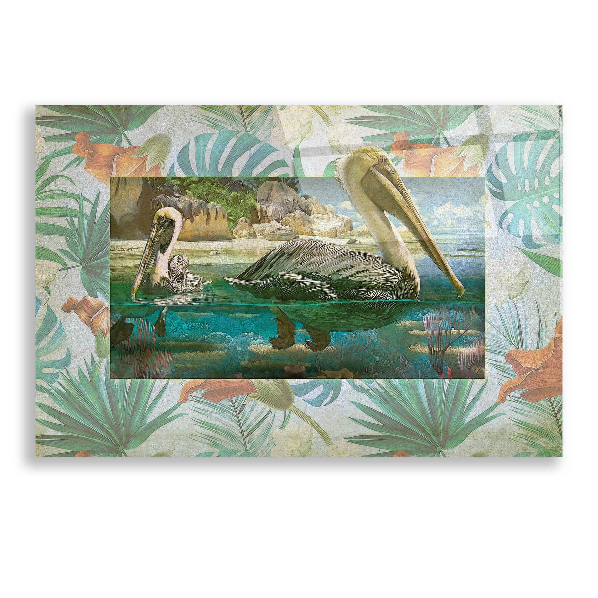 Epic Art 'Pelican Paradise V' by Steve Hunziker, Acrylic Glass Wall Art,24x16