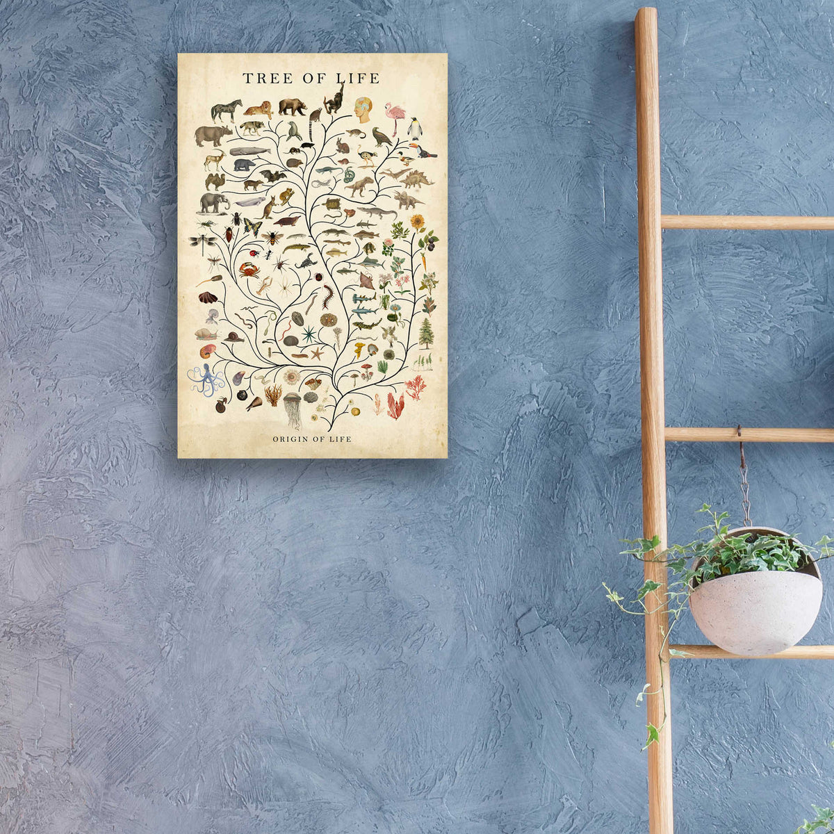 Epic Art 'Tree of Life' by Studio W, Acrylic Glass Wall Art,16x24