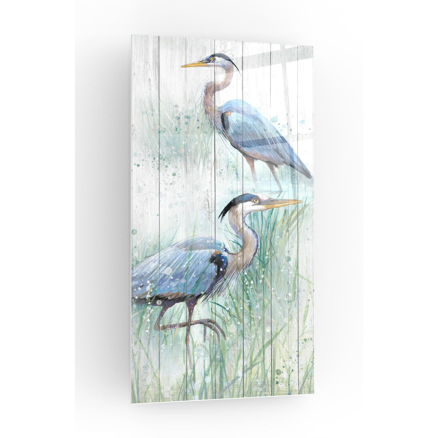 Epic Art 'Seaside Heron Pair I' by Studio W, Acrylic Glass Wall Art,12x24