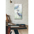 Epic Art 'Seaside Heron Pair II' by Studio W, Acrylic Glass Wall Art,12x24