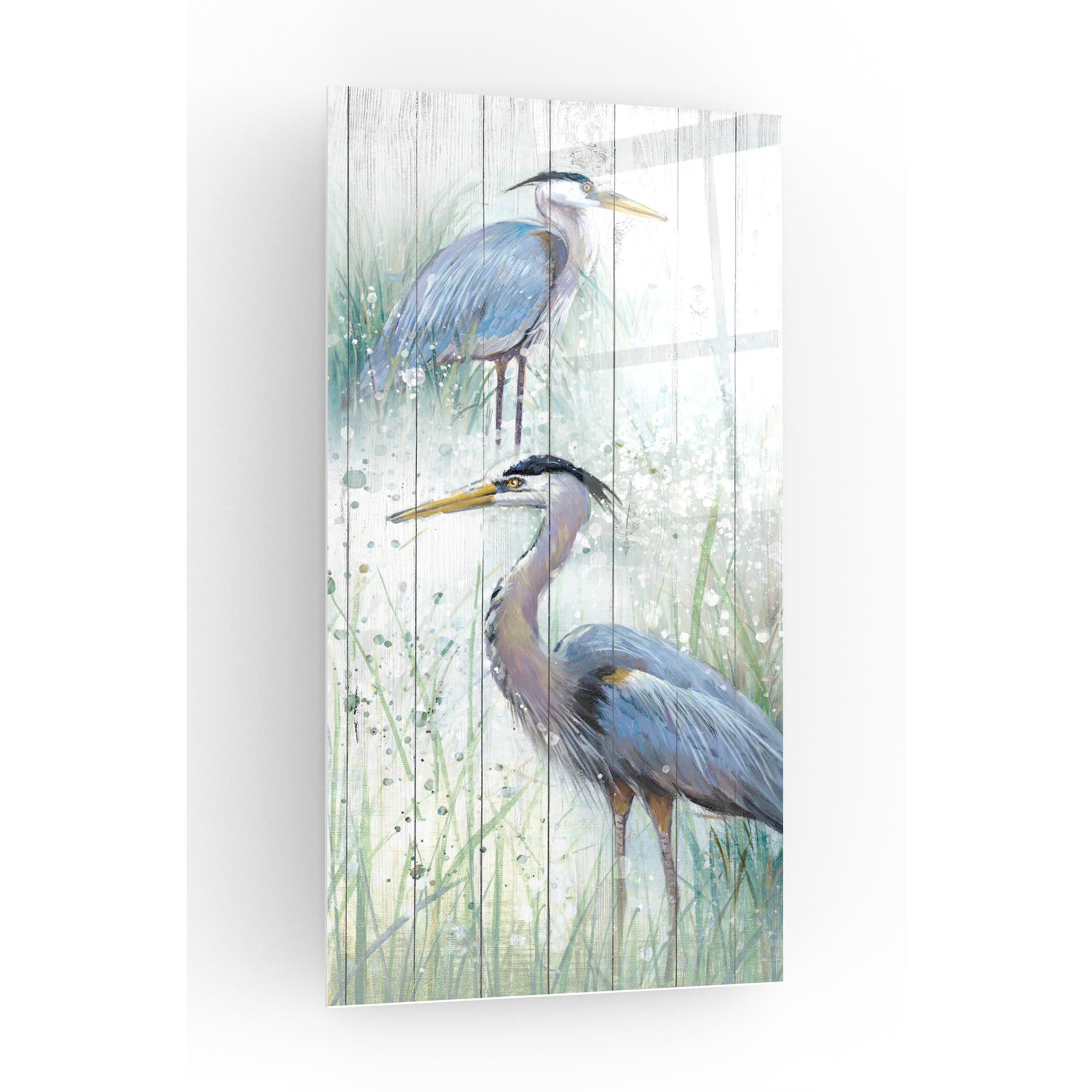 Epic Art 'Seaside Heron Pair II' by Studio W, Acrylic Glass Wall Art,12x24