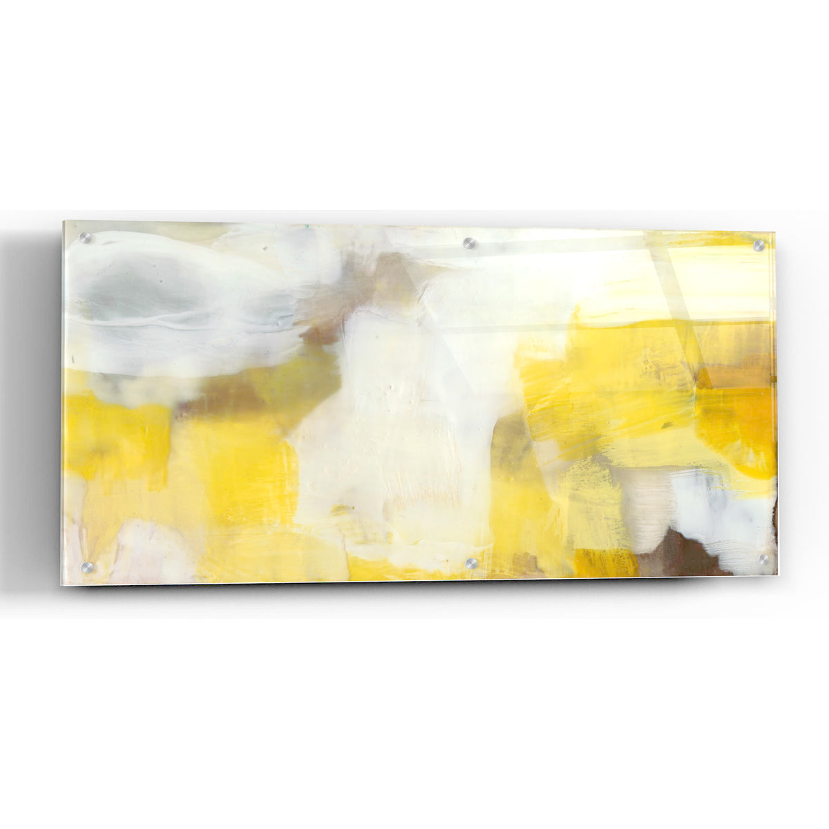 Epic Art 'Jammy I' by Sue Jachimiec, Acrylic Glass Wall Art,24x12