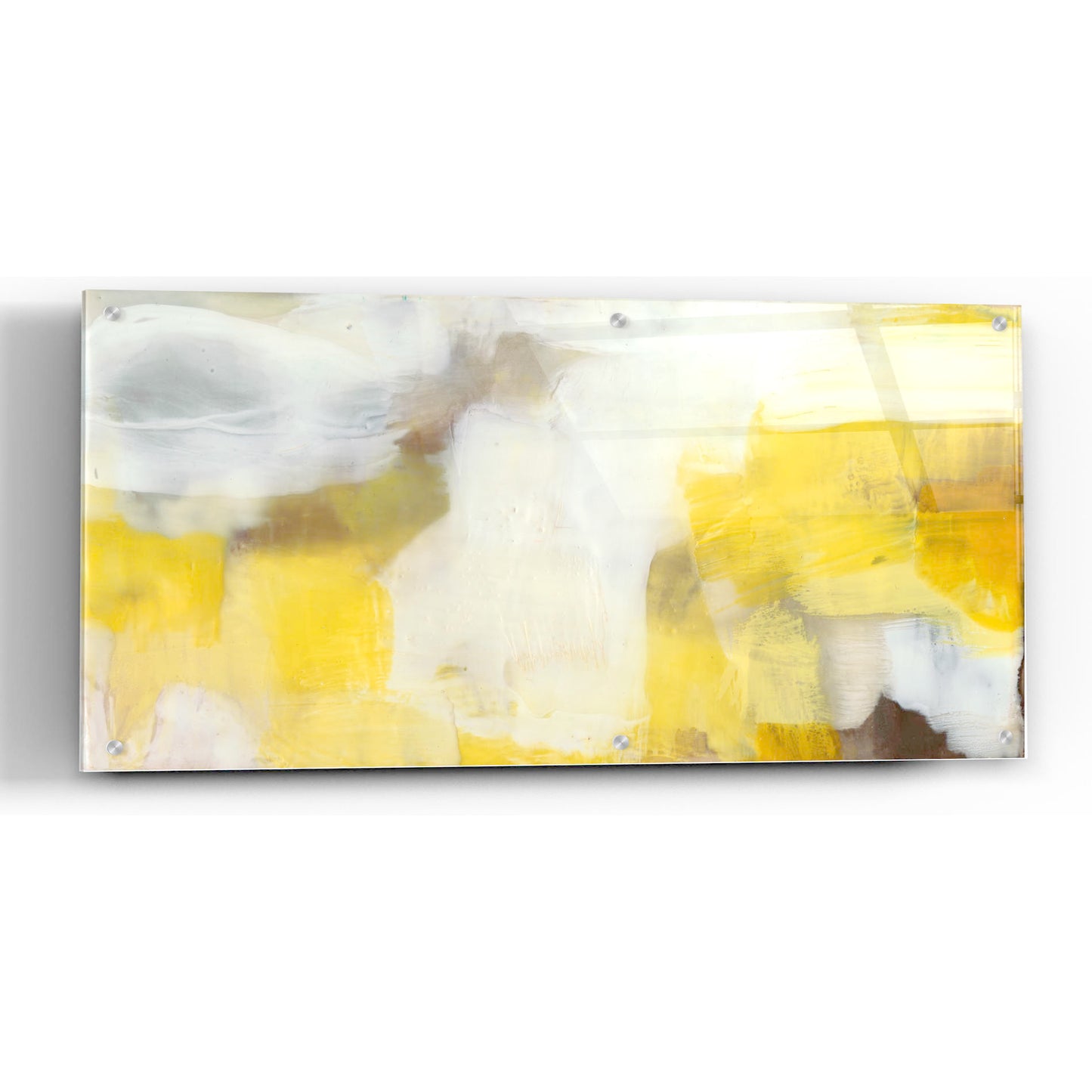 Epic Art 'Jammy I' by Sue Jachimiec, Acrylic Glass Wall Art,48x24