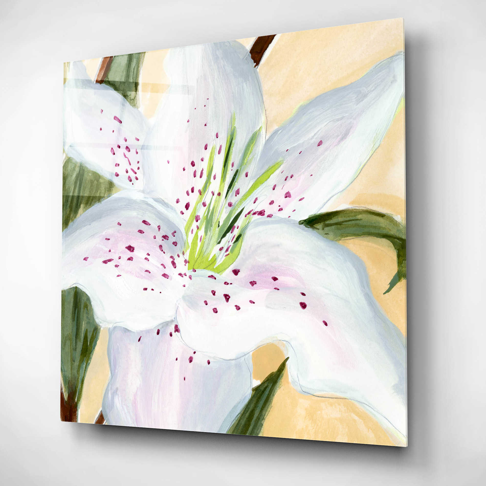 Epic Art 'White Lily I' by Annie Warren, Acrylic Glass Wall Art,12x12