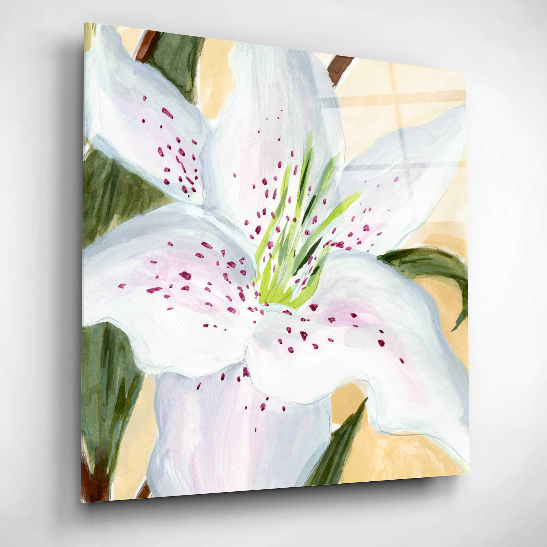 Epic Art 'White Lily I' by Annie Warren, Acrylic Glass Wall Art,12x12