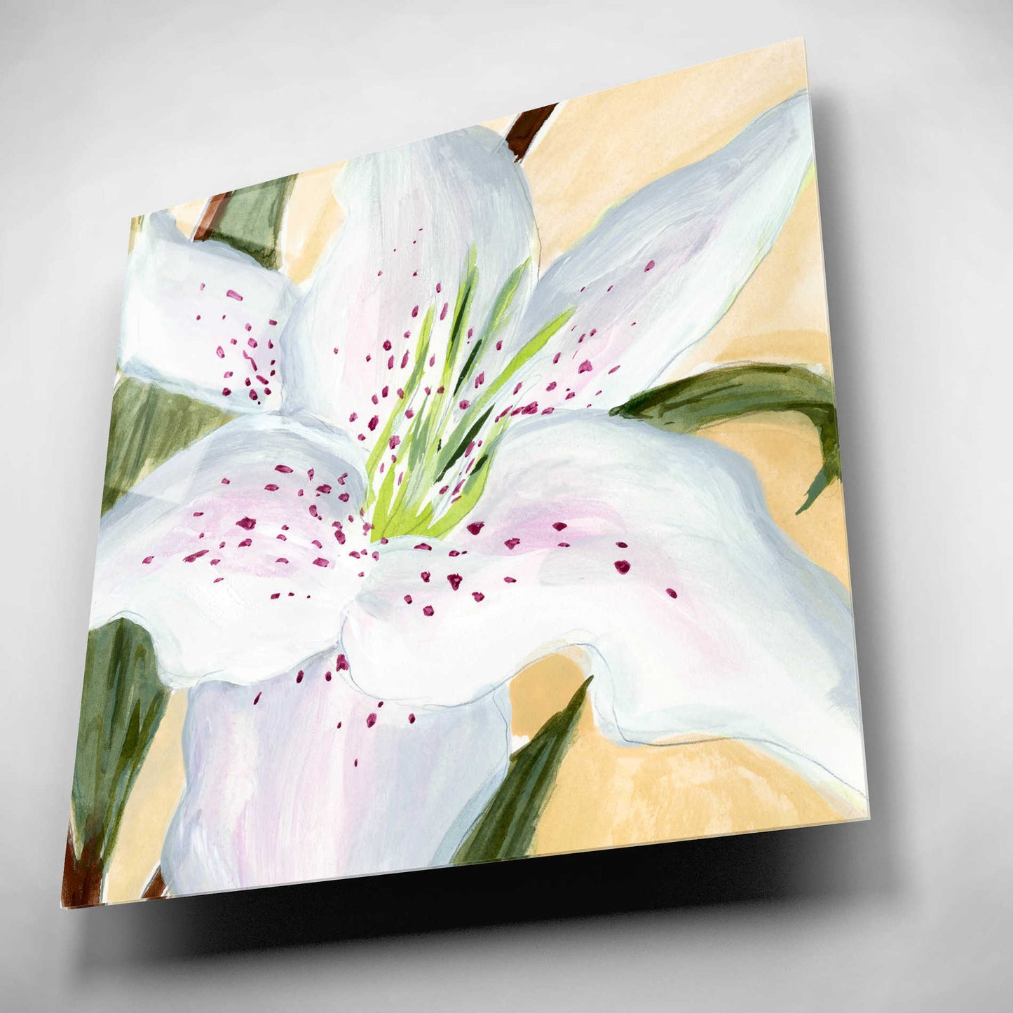 Epic Art 'White Lily I' by Annie Warren, Acrylic Glass Wall Art,12x12