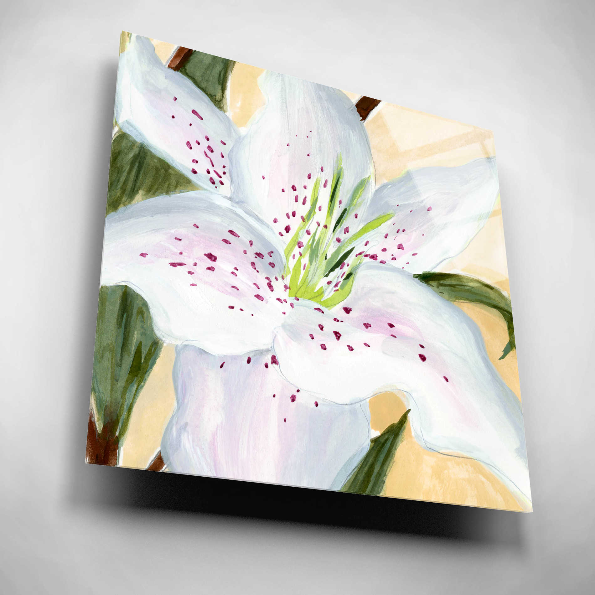 Epic Art 'White Lily I' by Annie Warren, Acrylic Glass Wall Art,12x12