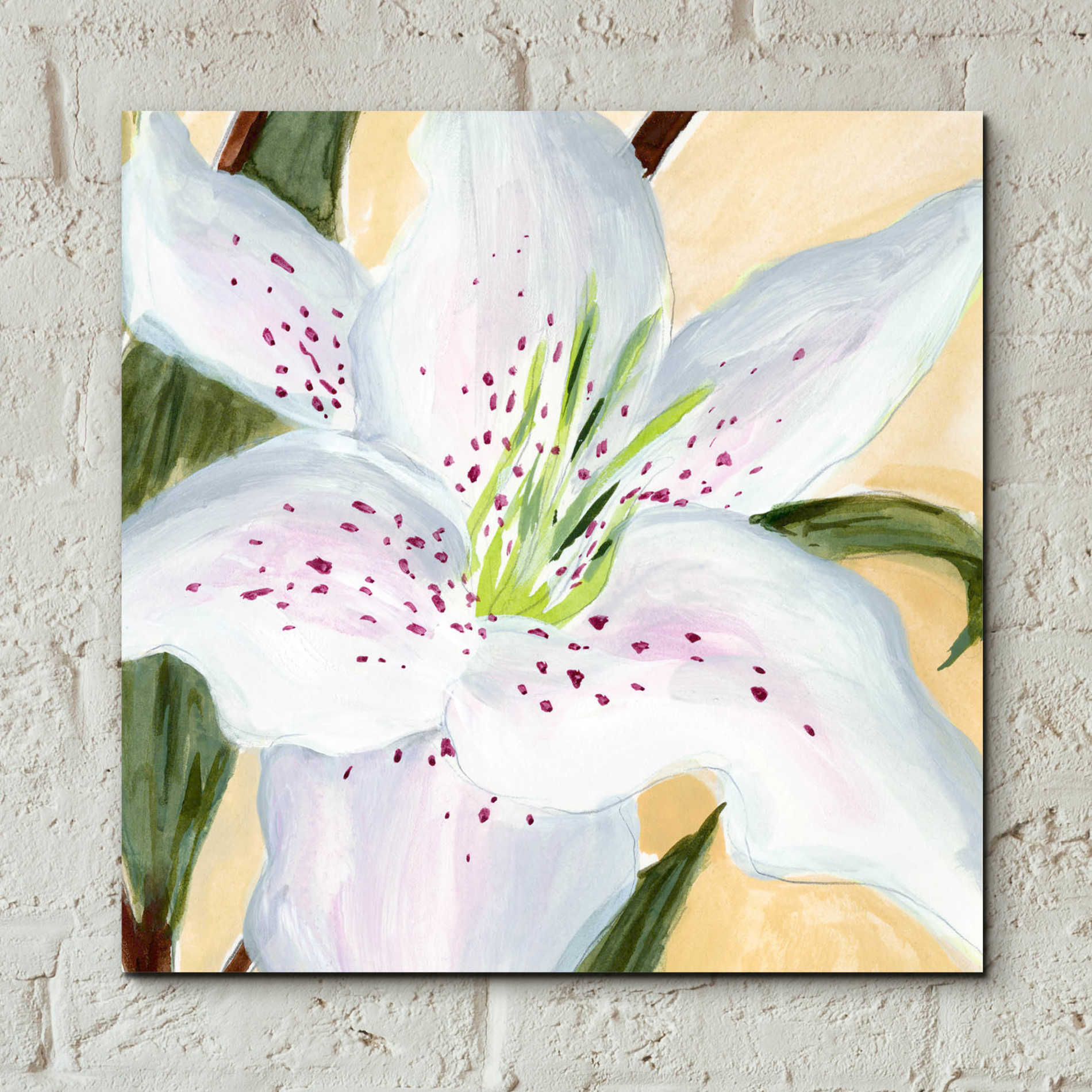 Epic Art 'White Lily I' by Annie Warren, Acrylic Glass Wall Art,12x12