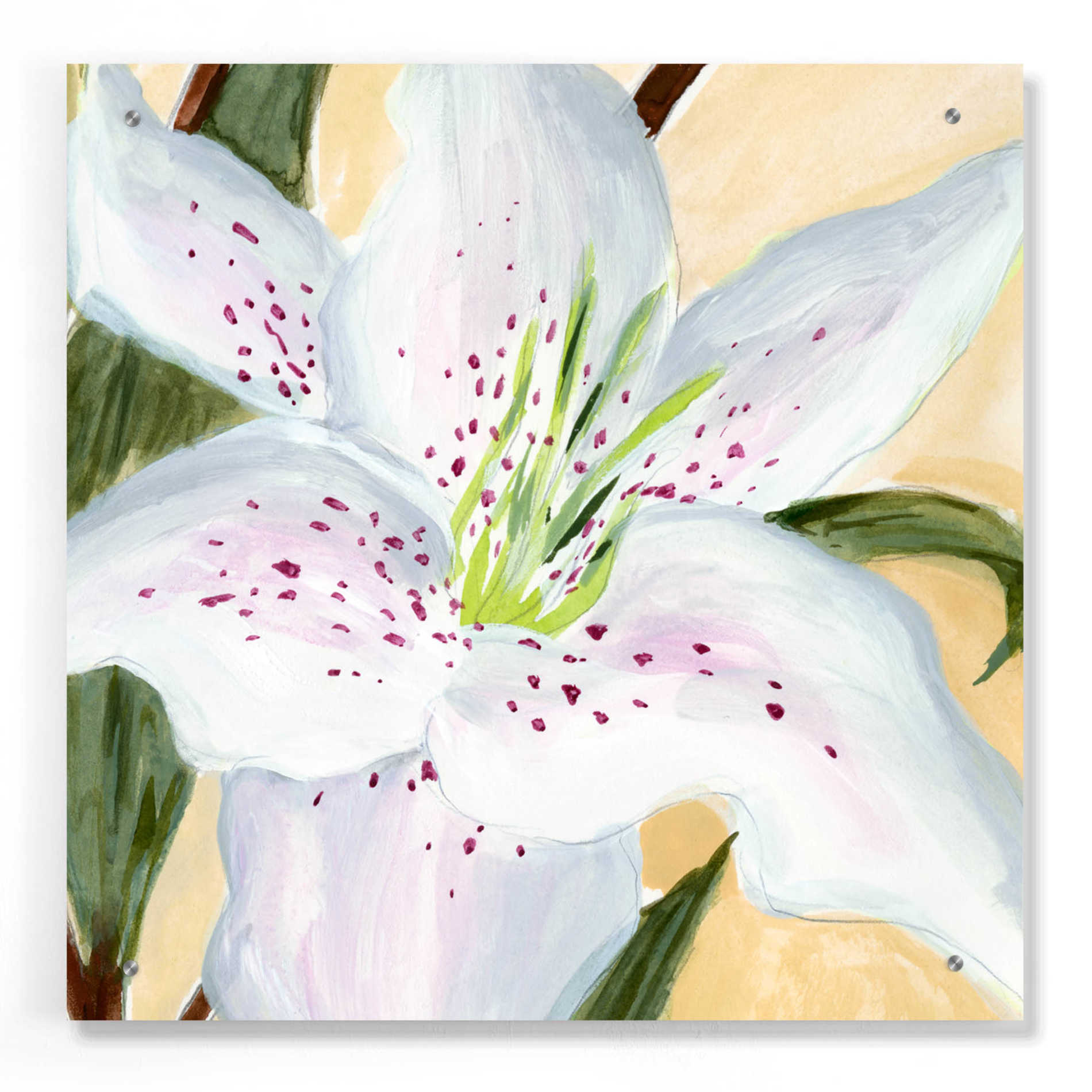 Epic Art 'White Lily I' by Annie Warren, Acrylic Glass Wall Art,24x24