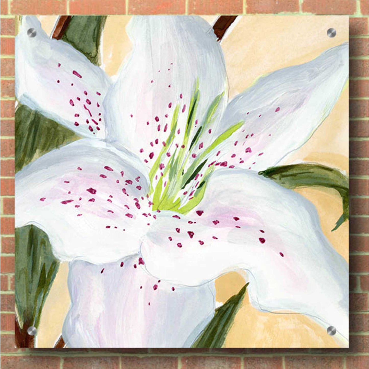 Epic Art 'White Lily I' by Annie Warren, Acrylic Glass Wall Art,36x36