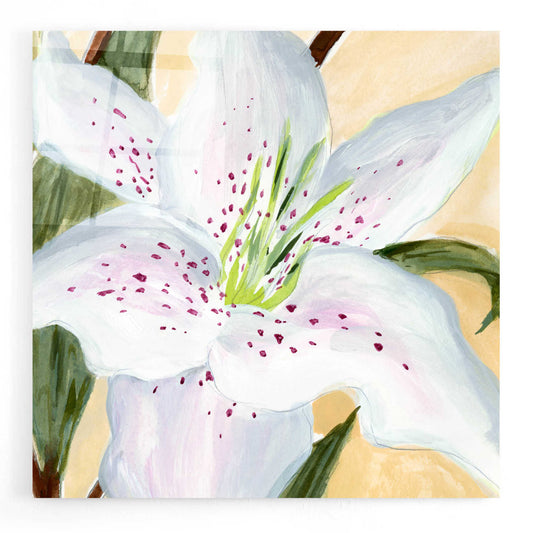 Epic Art 'White Lily I' by Annie Warren, Acrylic Glass Wall Art