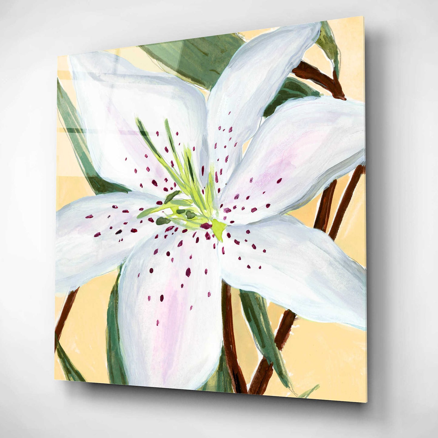 Epic Art 'White Lily II' by Annie Warren, Acrylic Glass Wall Art,12x12