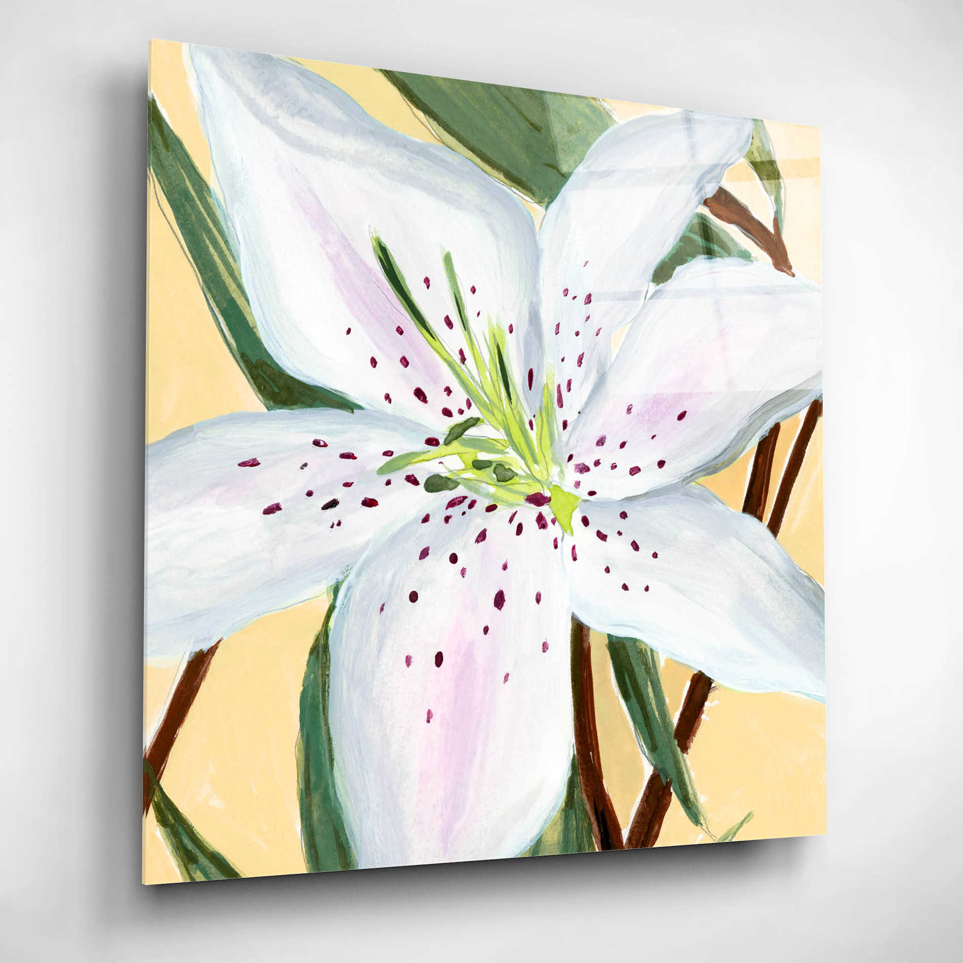 Epic Art 'White Lily II' by Annie Warren, Acrylic Glass Wall Art,12x12