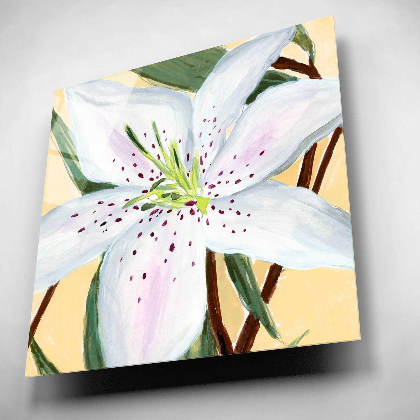 Epic Art 'White Lily II' by Annie Warren, Acrylic Glass Wall Art,12x12