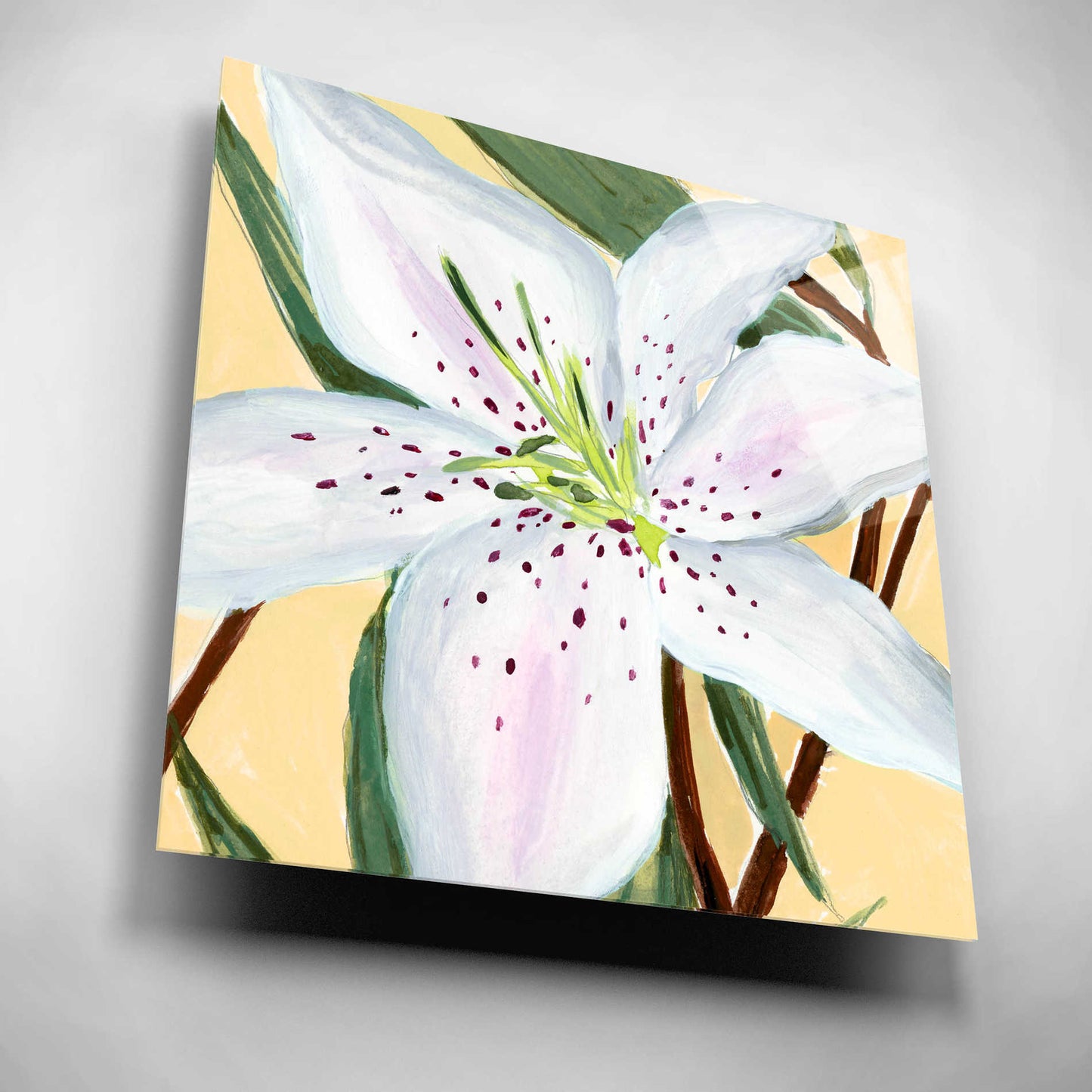 Epic Art 'White Lily II' by Annie Warren, Acrylic Glass Wall Art,12x12