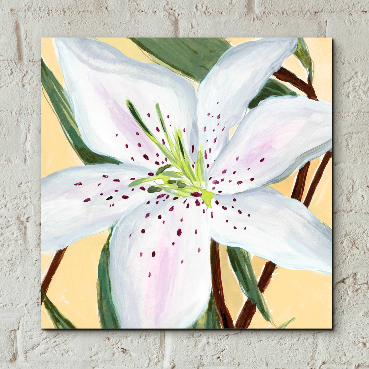 Epic Art 'White Lily II' by Annie Warren, Acrylic Glass Wall Art,12x12