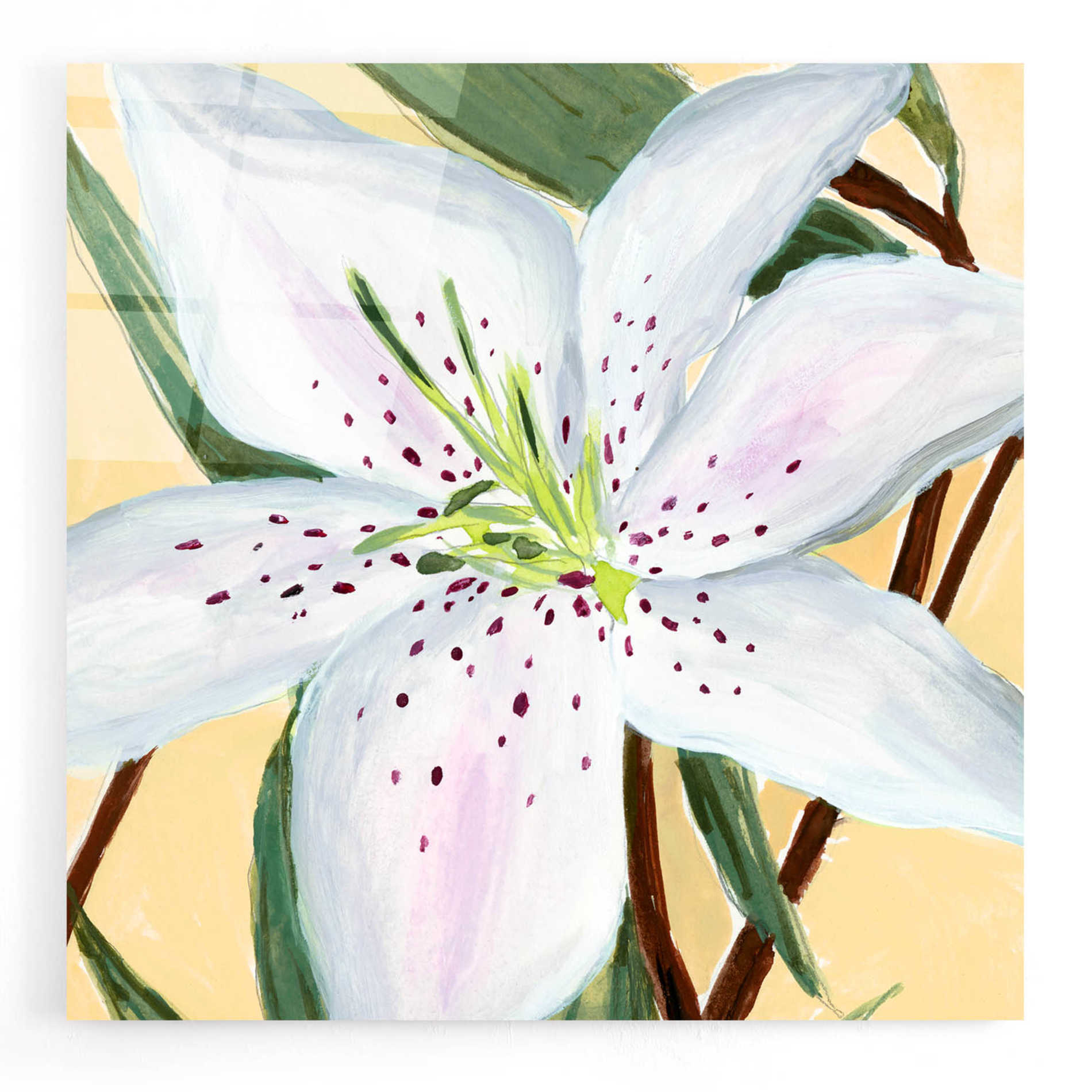 Epic Art 'White Lily II' by Annie Warren, Acrylic Glass Wall Art,12x12