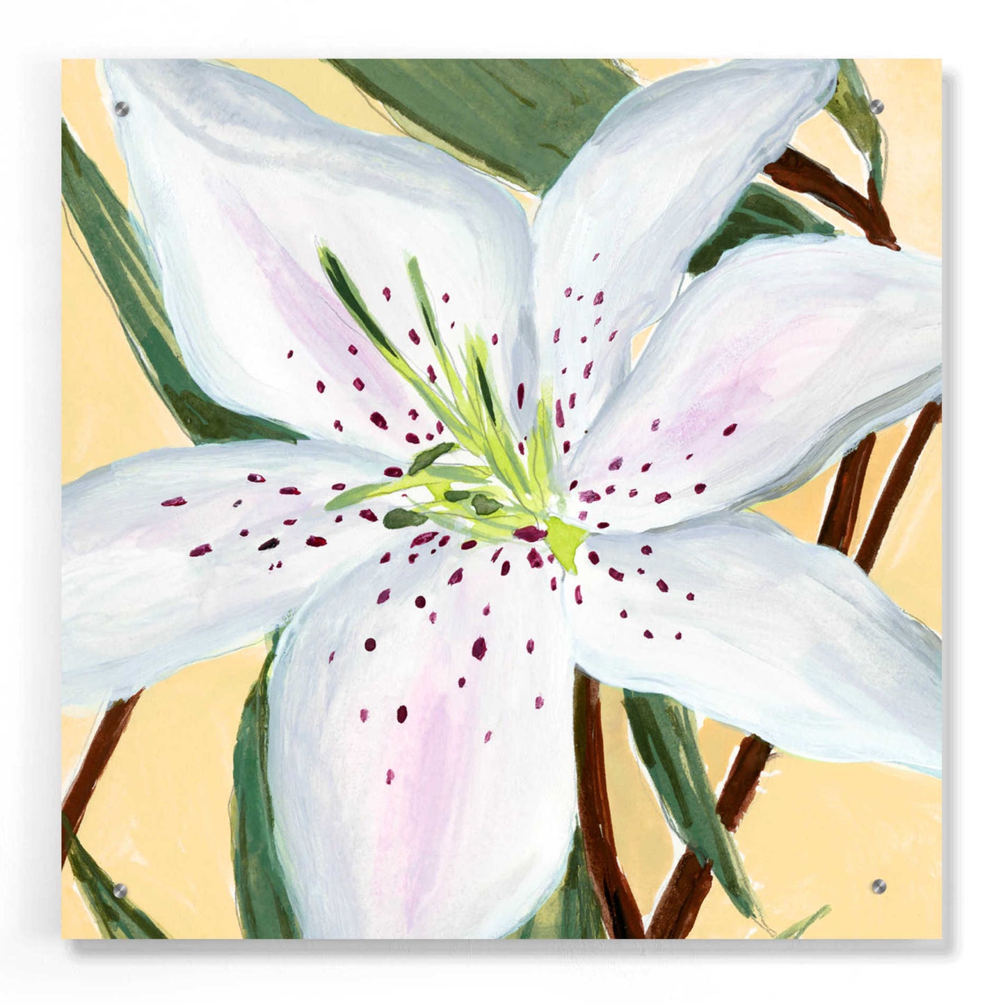 Epic Art 'White Lily II' by Annie Warren, Acrylic Glass Wall Art,24x24