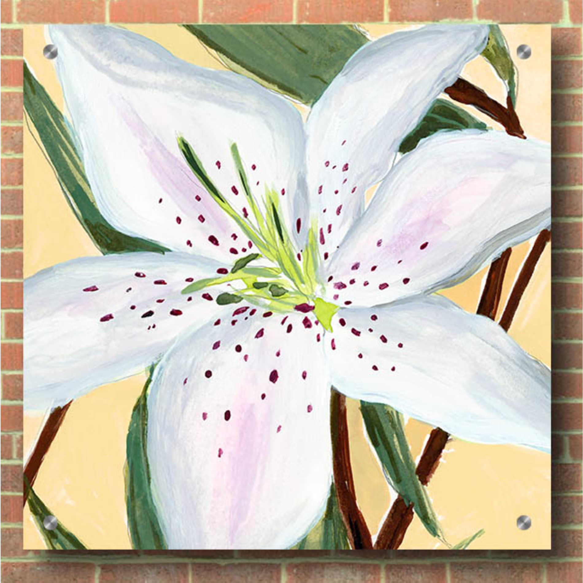 Epic Art 'White Lily II' by Annie Warren, Acrylic Glass Wall Art,36x36