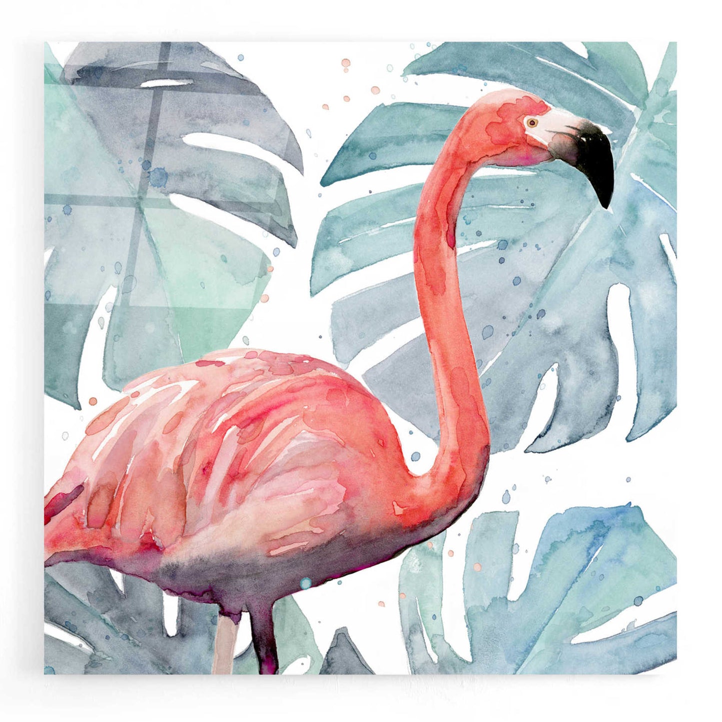 Epic Art 'Flamingo Splash I' by Annie Warren, Acrylic Glass Wall Art,12x12