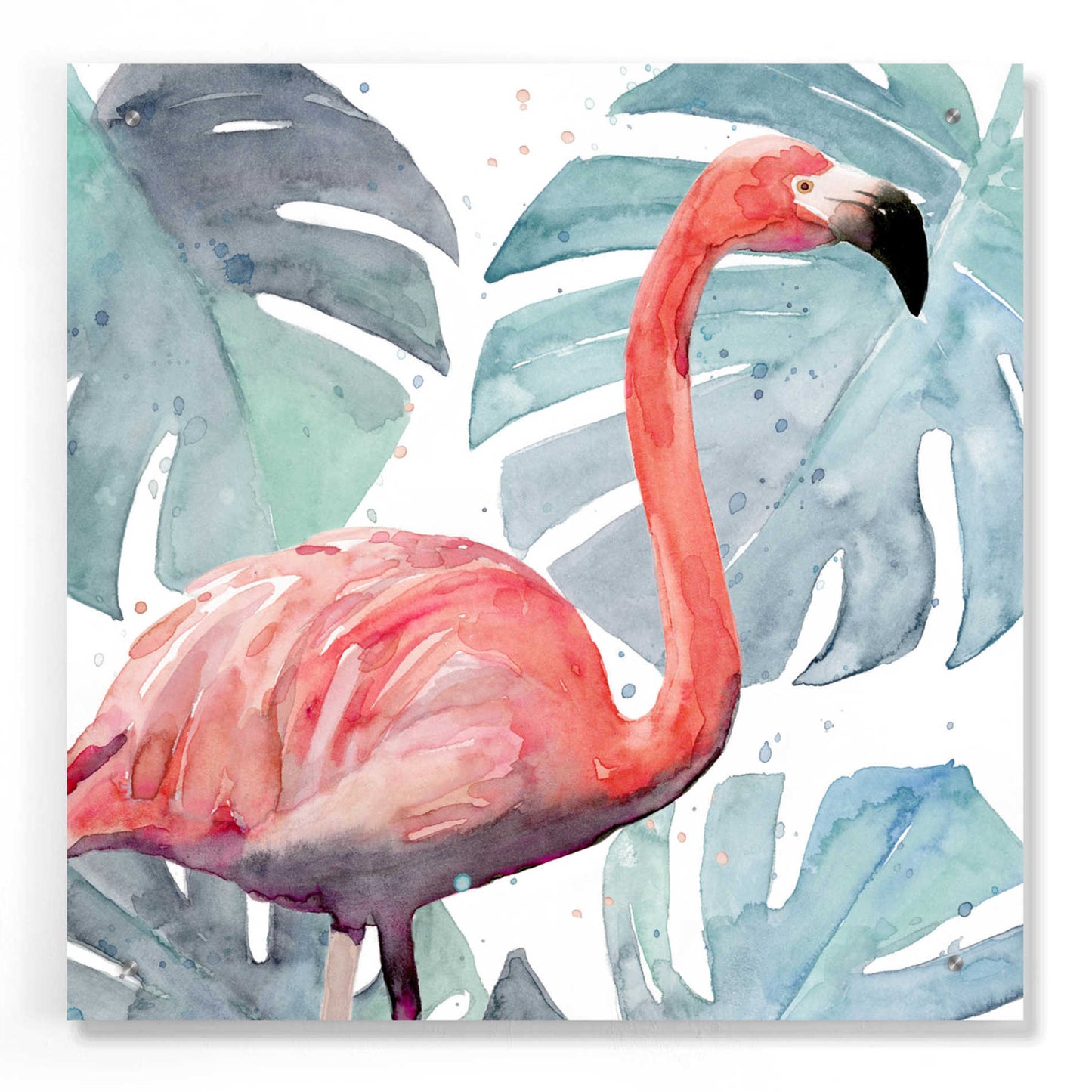 Epic Art 'Flamingo Splash I' by Annie Warren, Acrylic Glass Wall Art,24x24