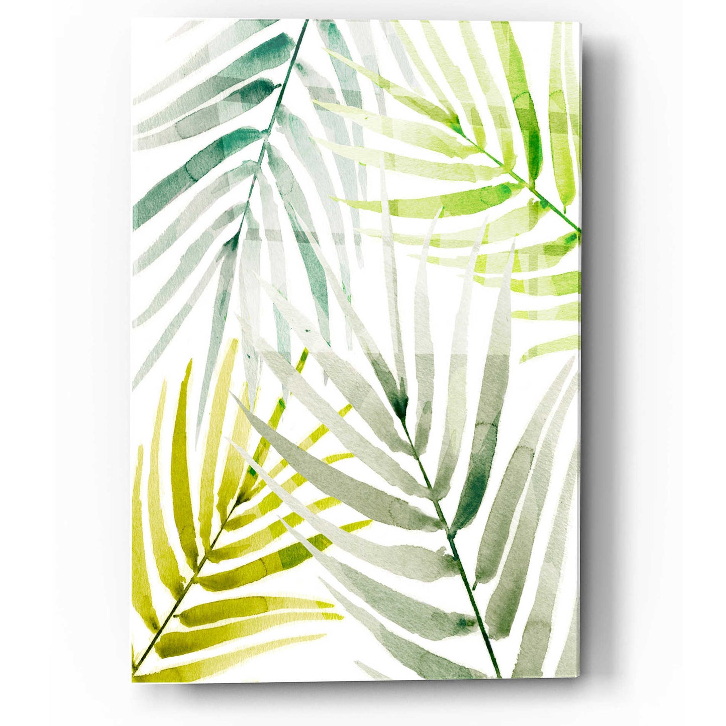 Epic Art 'Shady Palm I' by Annie Warren, Acrylic Glass Wall Art,12x16