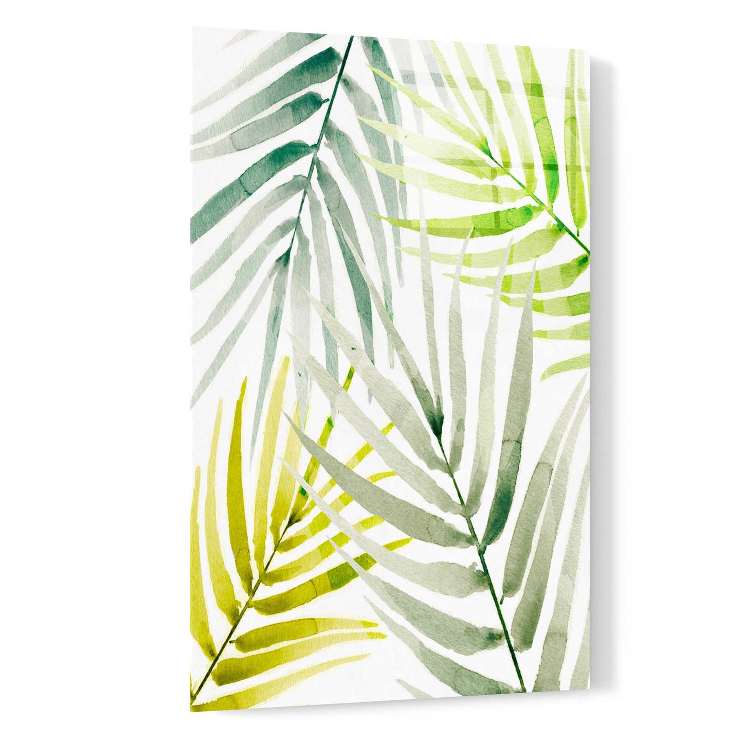 Epic Art 'Shady Palm I' by Annie Warren, Acrylic Glass Wall Art,16x24