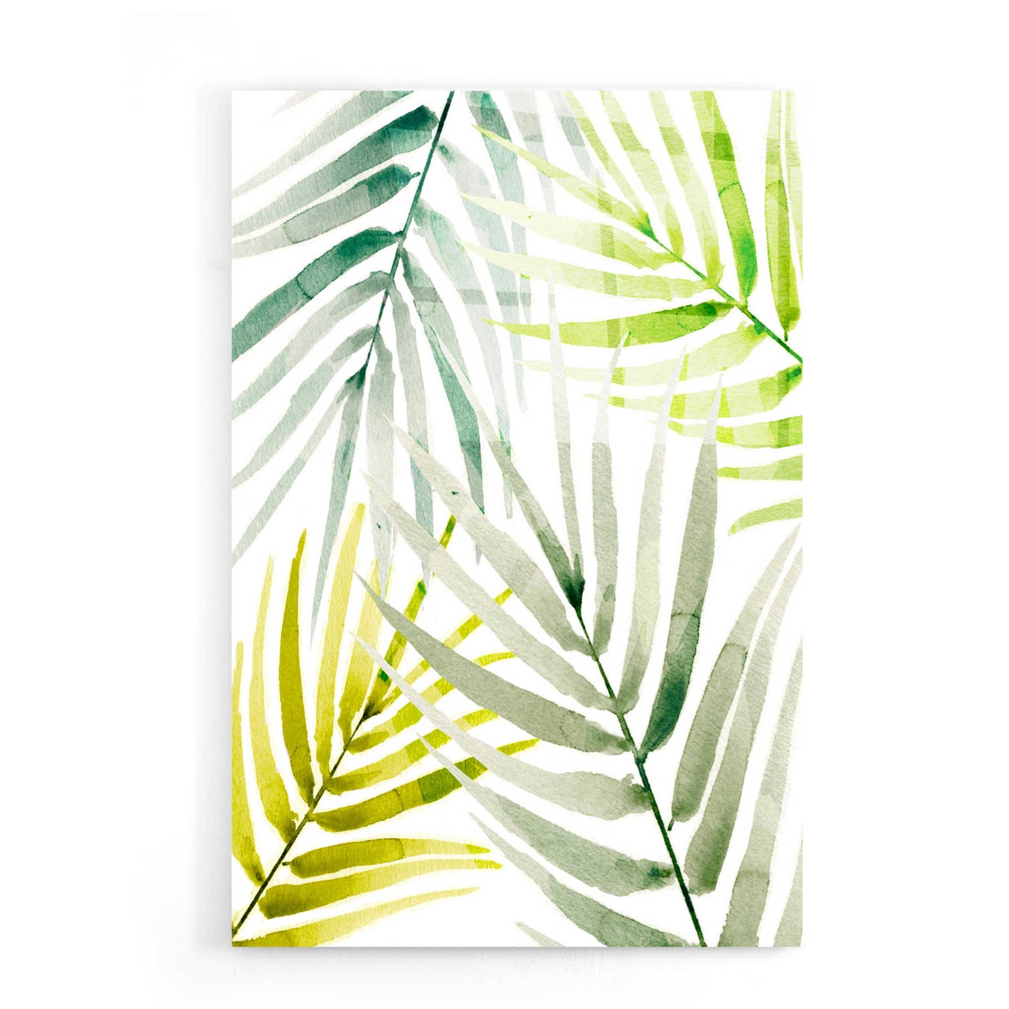 Epic Art 'Shady Palm I' by Annie Warren, Acrylic Glass Wall Art,16x24