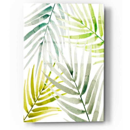 Epic Art 'Shady Palm I' by Annie Warren, Acrylic Glass Wall Art
