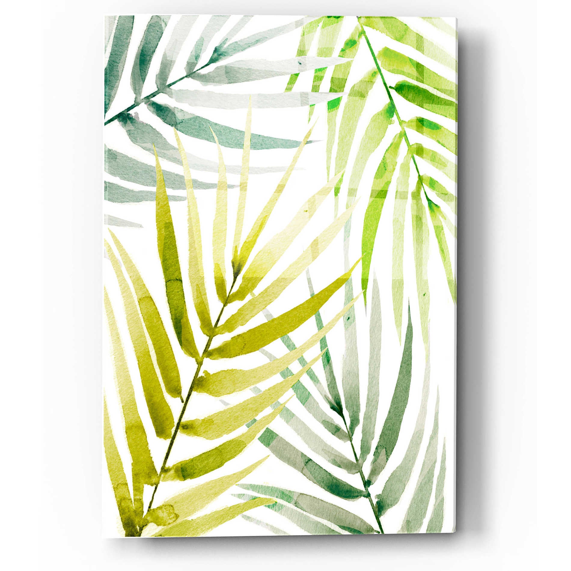 Epic Art 'Shady Palm II' by Annie Warren, Acrylic Glass Wall Art,12x16