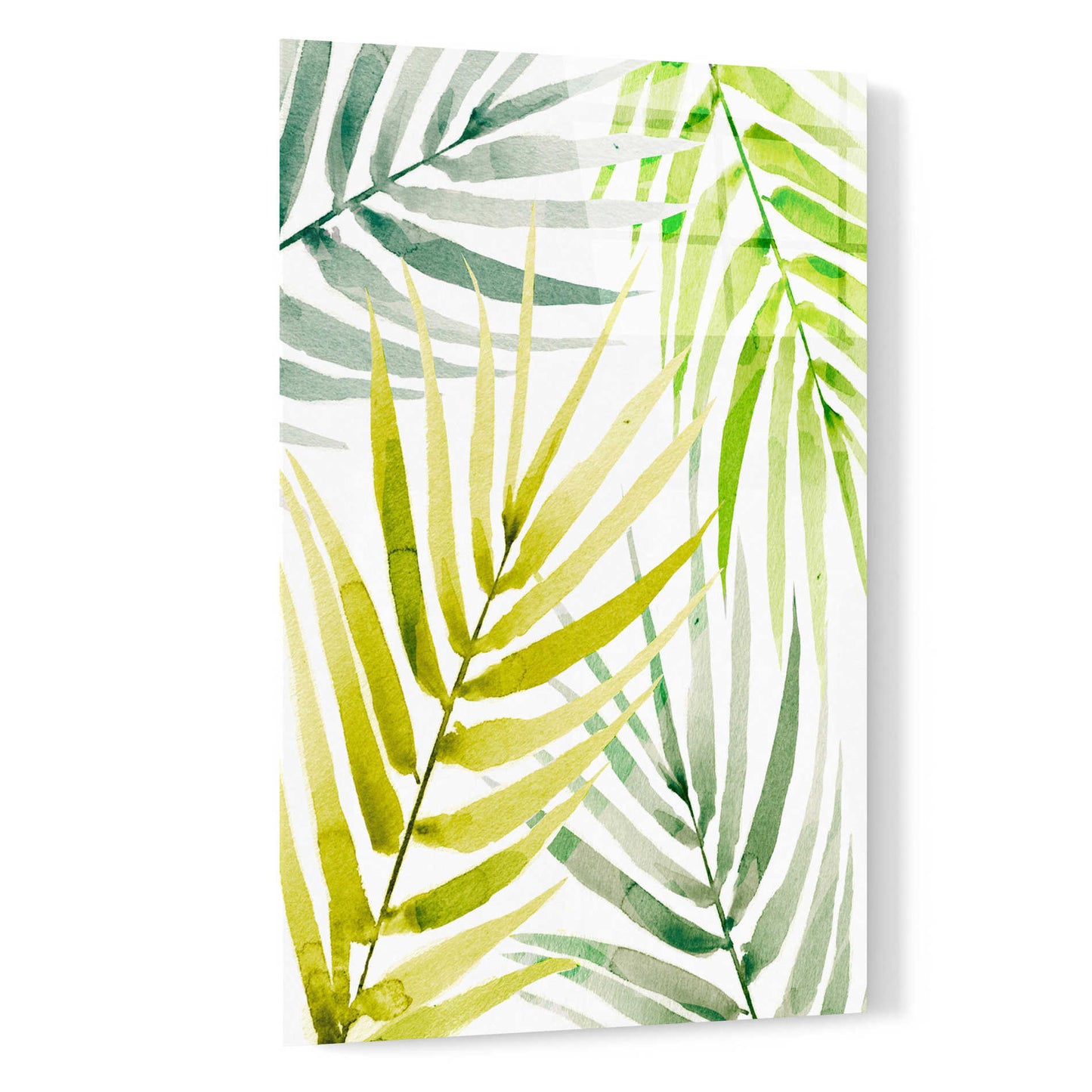 Epic Art 'Shady Palm II' by Annie Warren, Acrylic Glass Wall Art,16x24