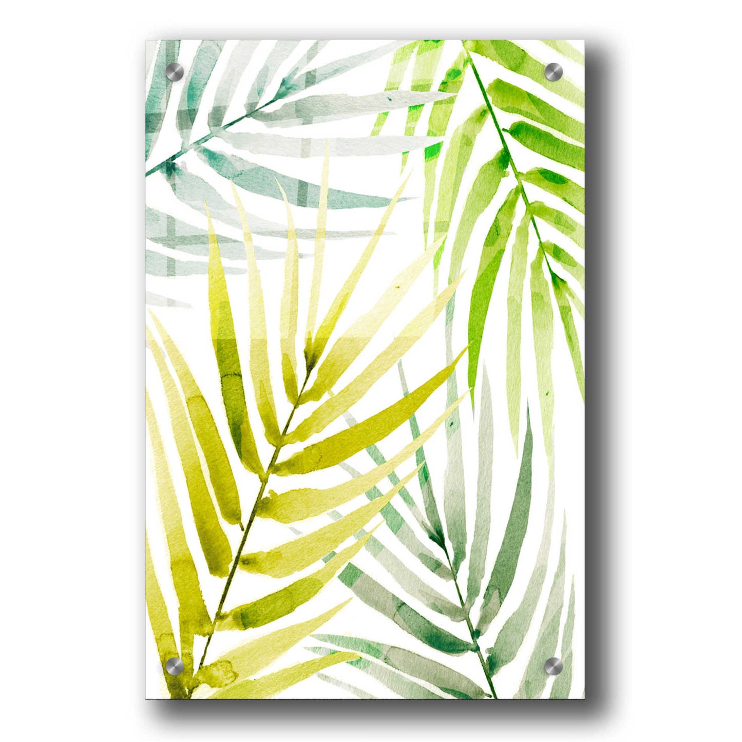 Epic Art 'Shady Palm II' by Annie Warren, Acrylic Glass Wall Art,24x36