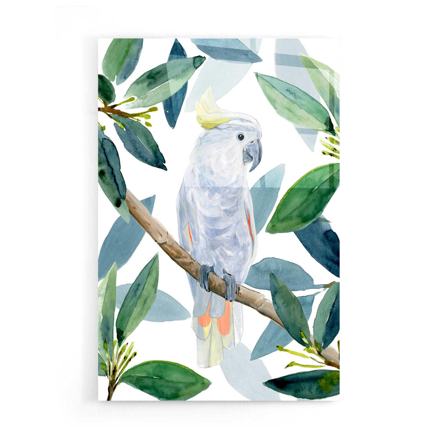 Epic Art 'Cockatoo Perch I' by Annie Warren, Acrylic Glass Wall Art,16x24